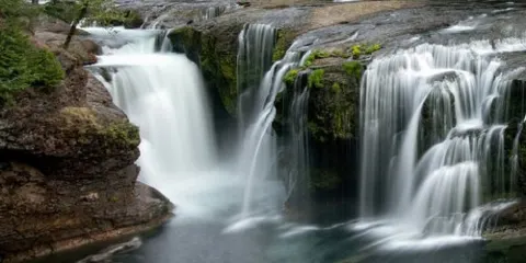 紫林山國家森林公園
