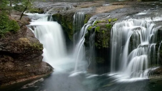 紫林山國家森林公園