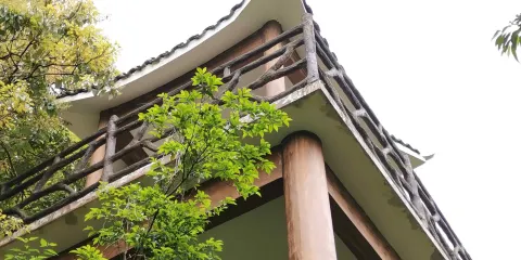 銀杉公園-含笑亭