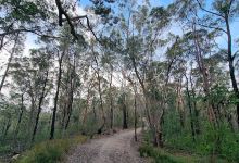 Twin Creeks Reserve Track (Mitchell Crescent Entry)景点图片