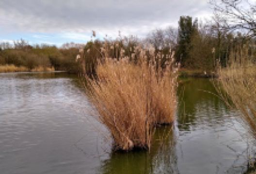 Kennington Park景点图片