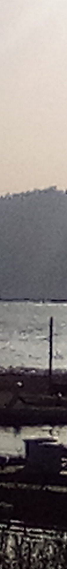 大熊湖动物园-大熊湖