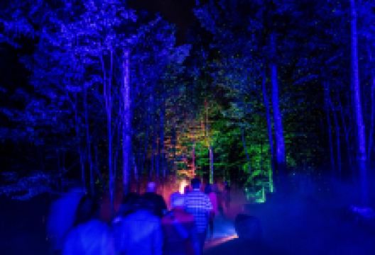 Tonga Lumina景点图片