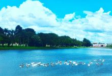Parque Lacustre景点图片