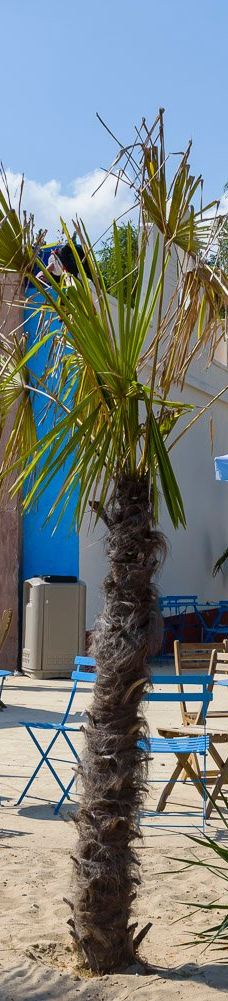 The Sand Sea-埃默农维尔