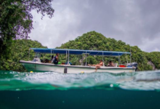 Palau Dive Adventures购物图片