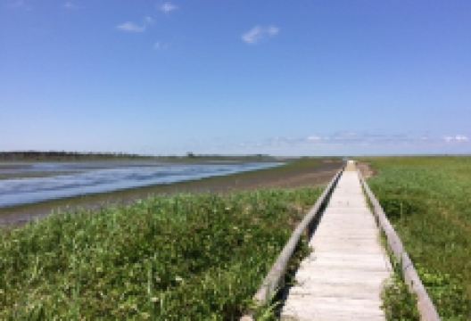 根室市春國岱原生野鳥公園自然中心景点图片
