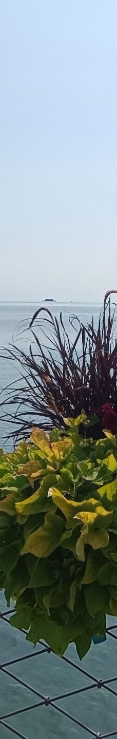 迈瑙岛-康斯坦茨