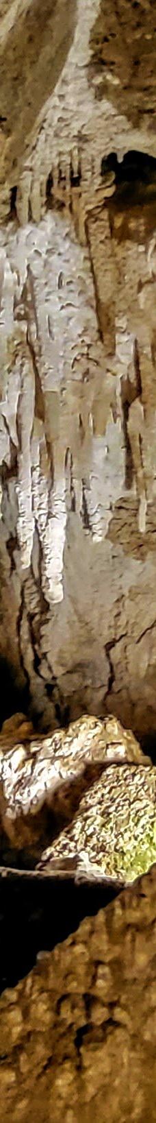 Ngarua Caves-Takaka Hill