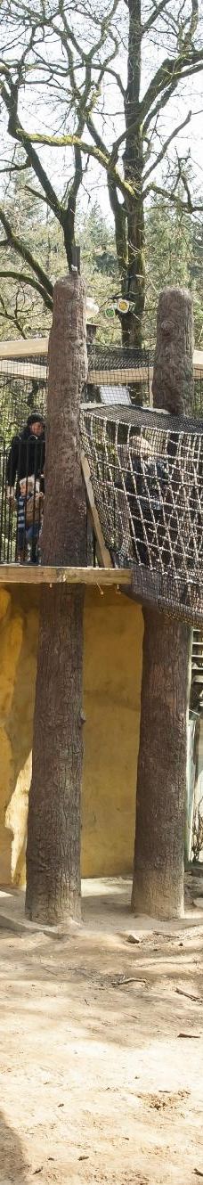 阿默斯福特动物园-阿默斯福特