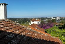 Quinta de Santa Cruz购物图片