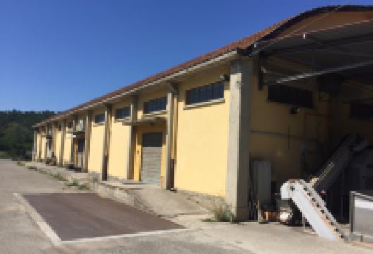 Frantoio dei Colli Toscani景点图片