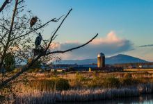 Skagit Wildlife Area景点图片