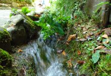 Orto Botanico di Toscolano Maderno景点图片