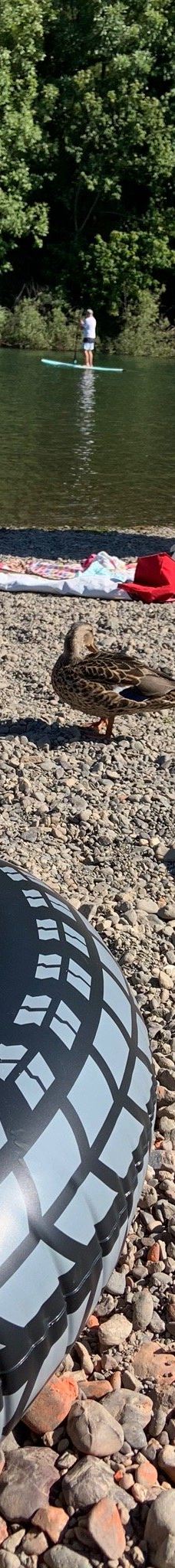 Johnson's Beach-盖尔南韦尔