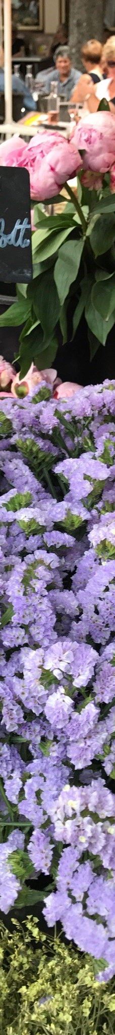 Saturday Street Market-塞雷