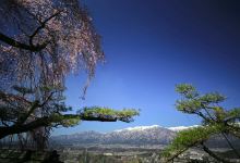 栖林寺景点图片