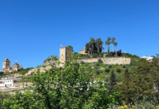 Fortaleza Templaria景点图片