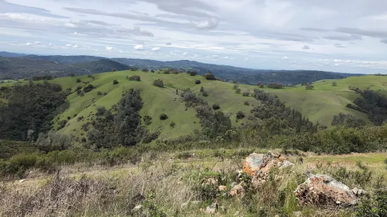 Jose Wine Caves