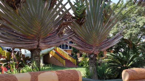 Aero Beach