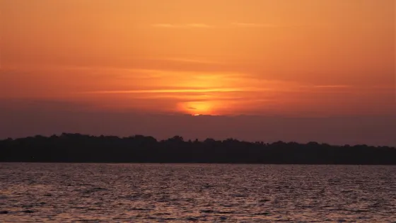 Singletary Park