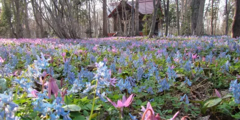 浦臼神社