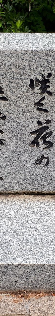 Lennox Gardens-亚拉伦拉