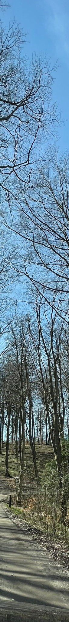 Pikkerbakken-腓特烈港