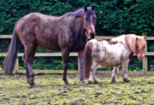 Danemead景点图片