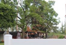 Beebe Ranch景点图片