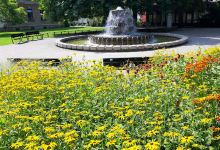 Salinenbrunnen, Bad Rothenfelde (1979)景点图片