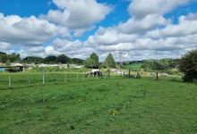 Hillview Manor Park景点图片