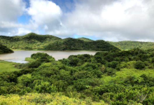 南仁山生态保护区景点图片