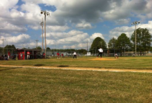 Omega Park景点图片