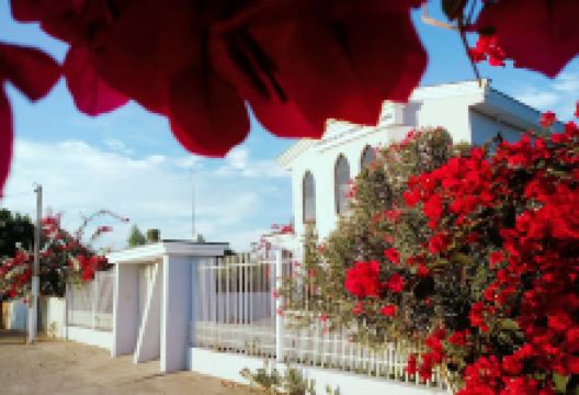 Congregação Cristã no Brasil - F. Canudos景点图片