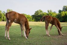 Winter Creek Farms景点图片
