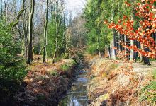 Dreilägerbach mit Vorbecken und Steinbach景点图片