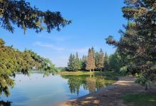 Camp Lake Park景点图片