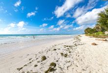 Galu Kinondo Beach景点图片