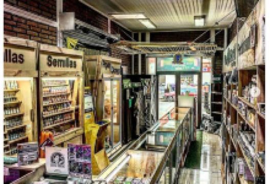 Punto Natural Grow Shop购物图片