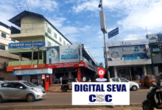 digital seva csc购物图片