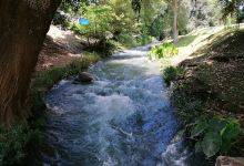 Rancho "El Cortijo"景点图片