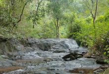 Kuttampuzha River - View Point景点图片