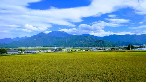 八海山