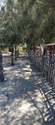 Villa Andrea Corazon-博托兰