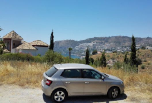 Agrosurgarden购物图片