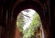 Túnel do Trem divisa Porto Amazonas e Palmeira景点图片