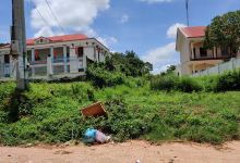 Hoa Viên Liên Sơn景点图片