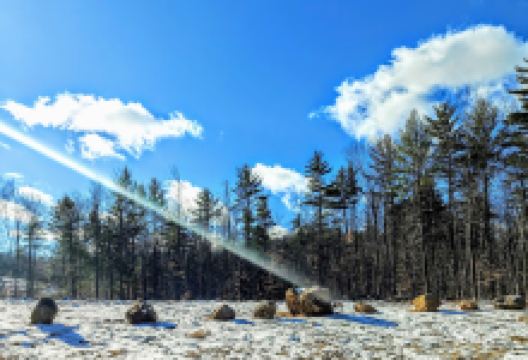 Bald Ledge Scenic Vista Trailhead景点图片