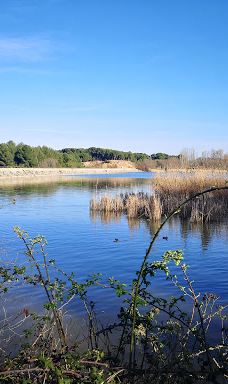 Grajera Park-洛格罗尼奥